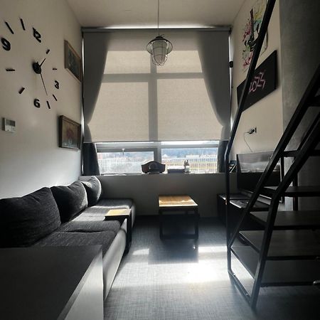 1 Bedroom Loft Apartment Zlín Eksteriør billede