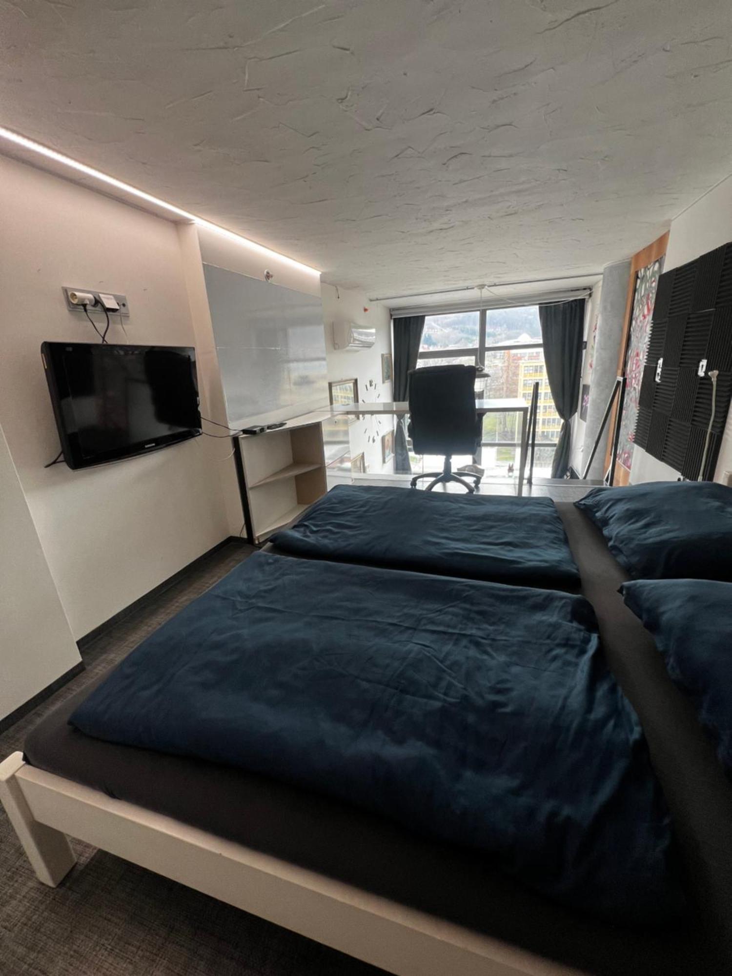 1 Bedroom Loft Apartment Zlín Eksteriør billede